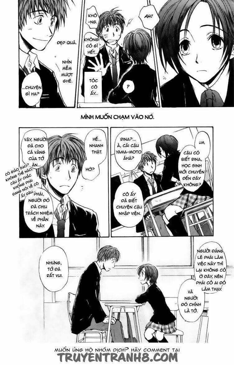 Dawn Tsumetai Te - Chapter 2 - Trang 13