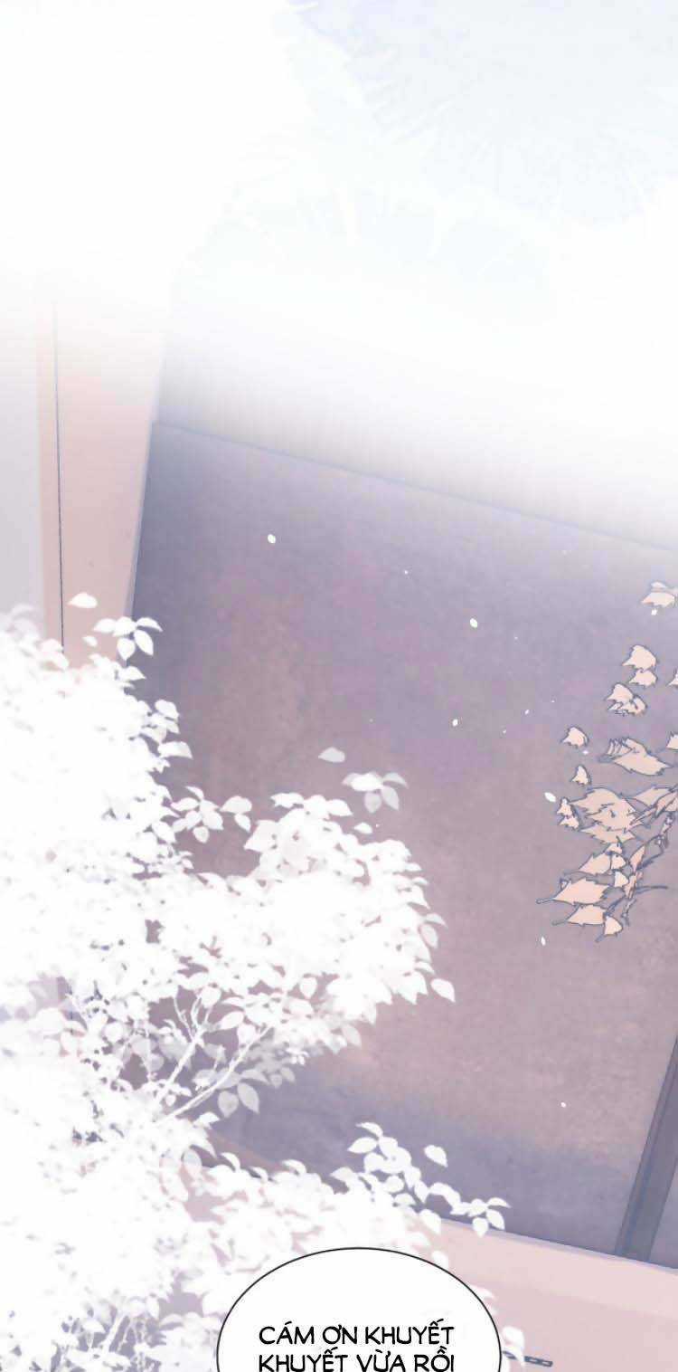 Dây Dưa Không Dứt - Chapter 10 - Trang 41