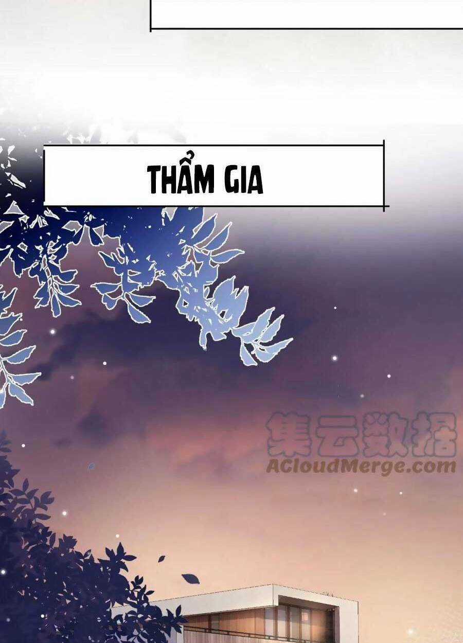 Dây Dưa Không Dứt - Chapter 37 - Trang 8