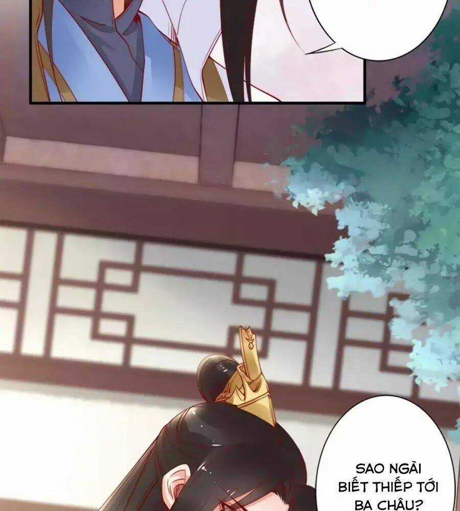 Đế Cung Đông Hoàng Phi - Chapter 41 - Trang 10