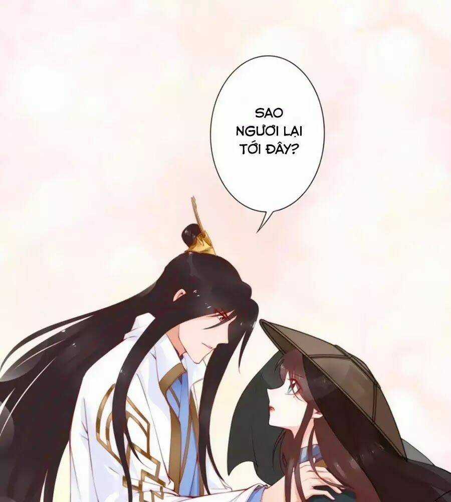 Đế Cung Đông Hoàng Phi - Chapter 47 - Trang 48