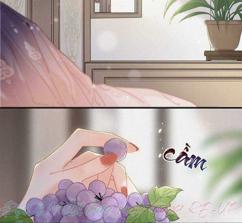 Đề Đốc Tự Ta Tu Dưỡng - Chapter 10 - Trang 16