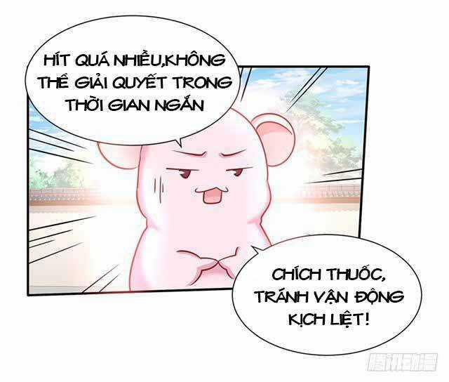 Đế Hoàng Chi Thần Y Khí Phi - Chapter 24 - Trang 11