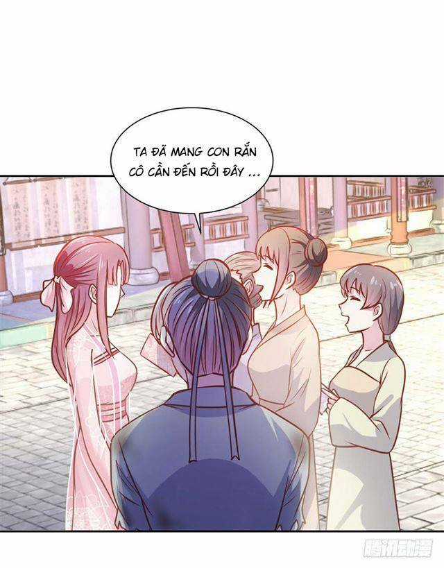 Đế Hoàng Chi Thần Y Khí Phi - Chapter 7 - Trang 5