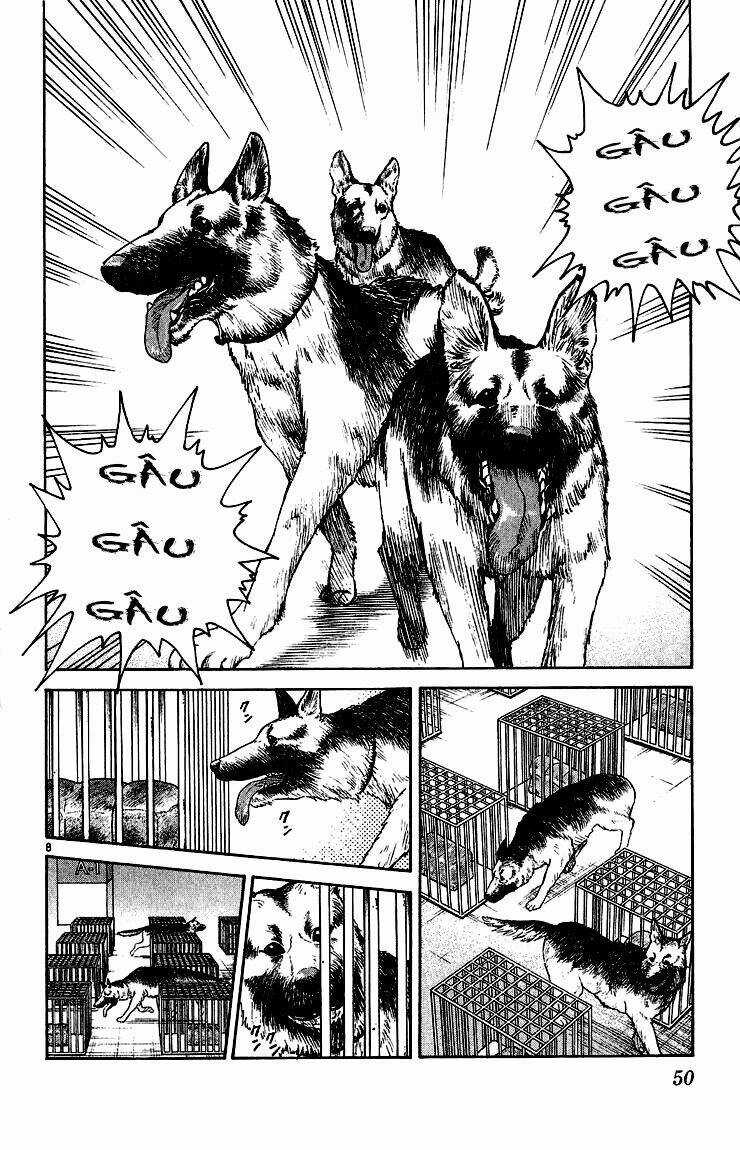 Đệ Nhất Bánh Mì - Chapter 18 - Trang 9