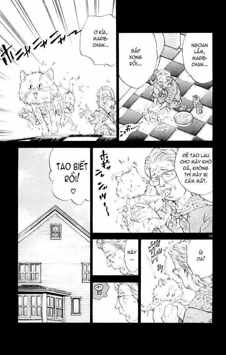 Đệ Nhất Bánh Mì - Chapter 72 - Trang 11