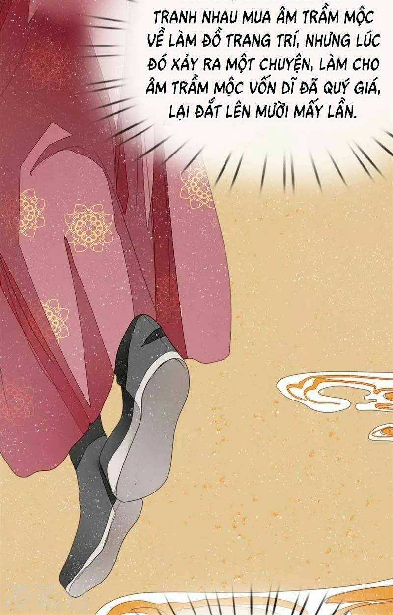 Đệ Nhất Hoàn Khố - Chapter 17 - Trang 23