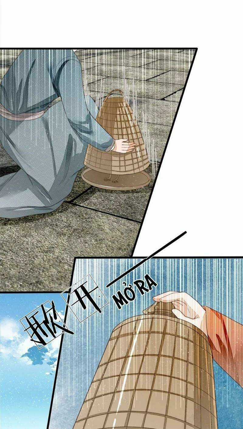 Đệ Nhất Hoàn Khố - Chapter 88 - Trang 3