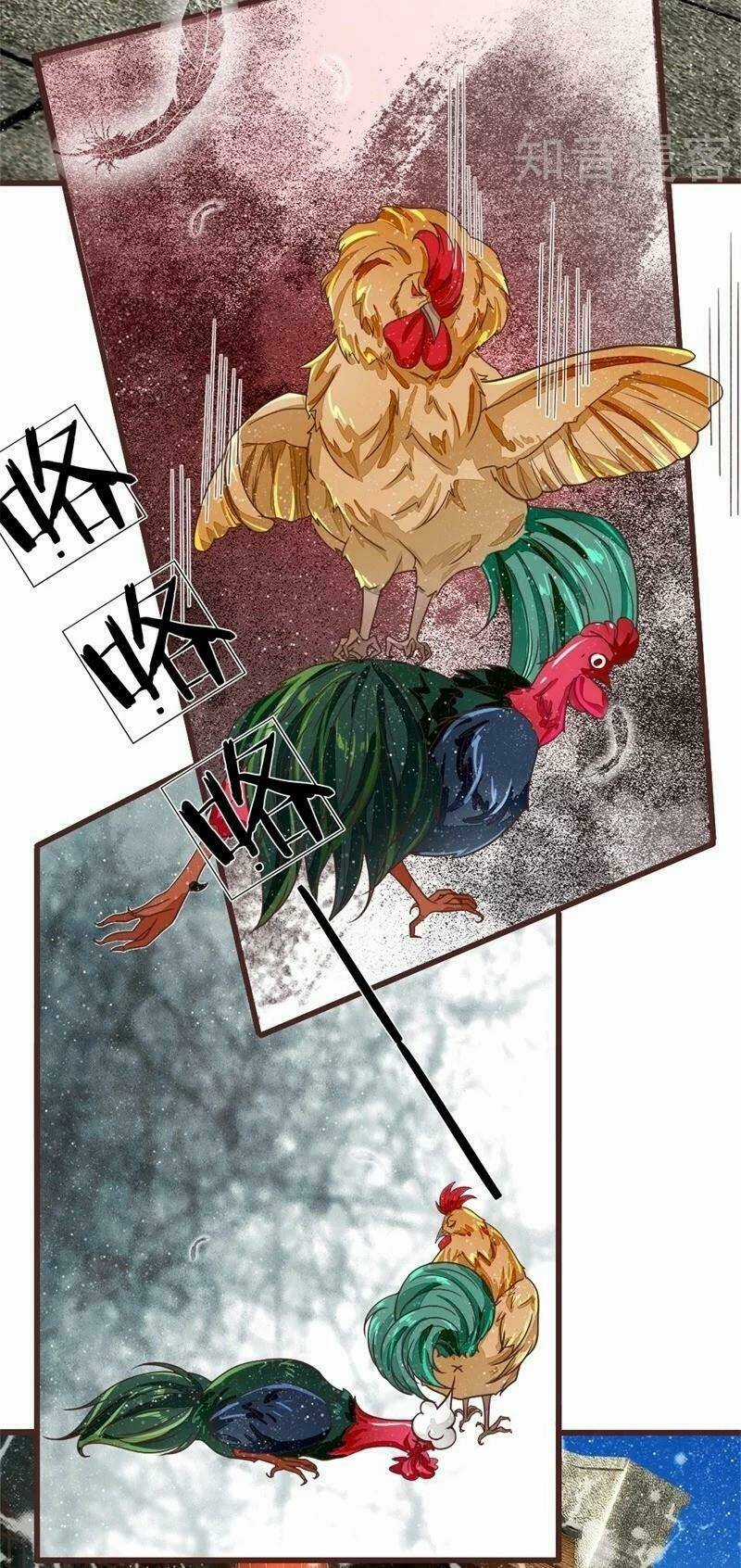 Đệ Nhất Hoàn Khố - Chapter 91 - Trang 14