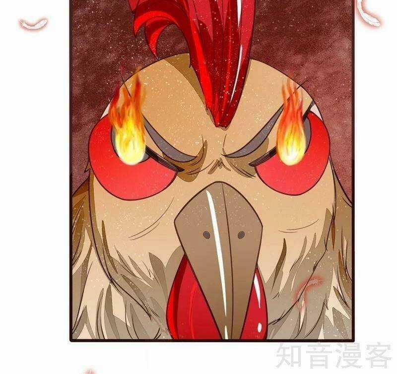 Đệ Nhất Hoàn Khố - Chapter 94 - Trang 12