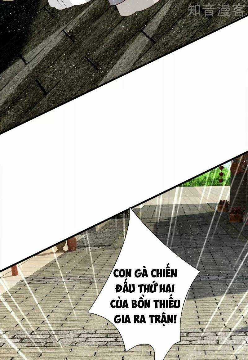 Đệ Nhất Hoàn Khố - Chapter 97 - Trang 9