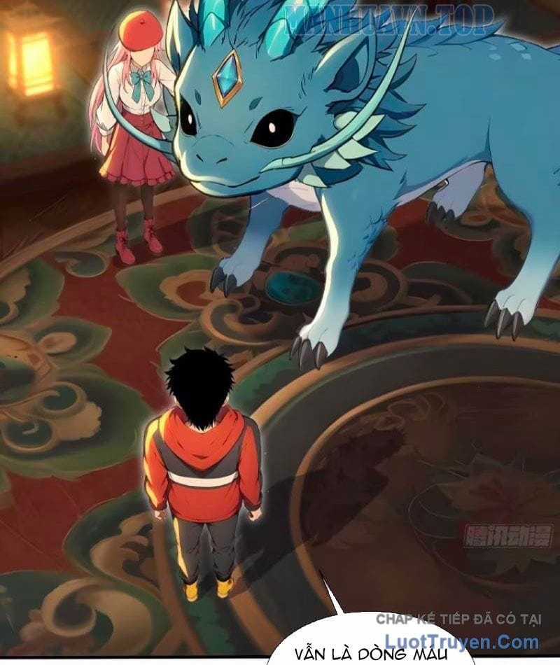 Đệ Nhất Ngự Thú Sư - Chapter 113 - Trang 11