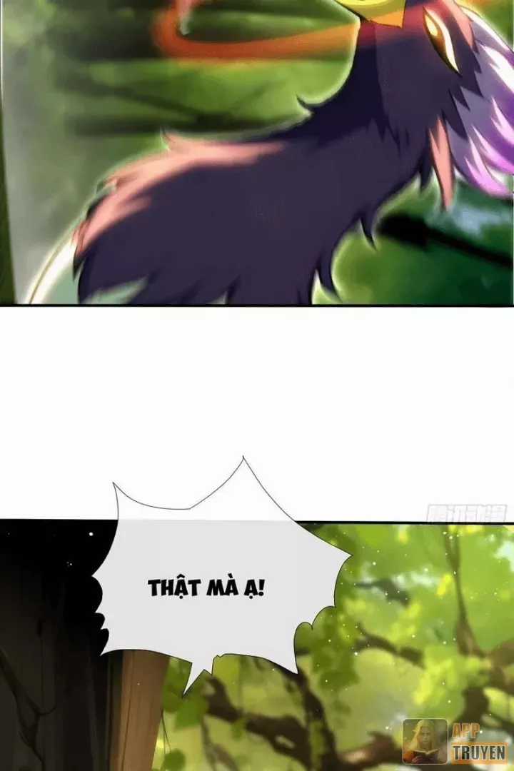 Đệ Nhất Ngự Thú Sư - Chapter 124 - Trang 17