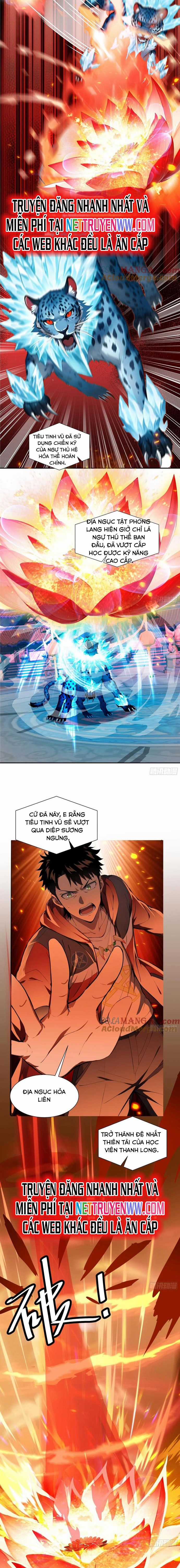 Đệ Nhất Ngự Thú Sư - Chapter 22 - Trang 8