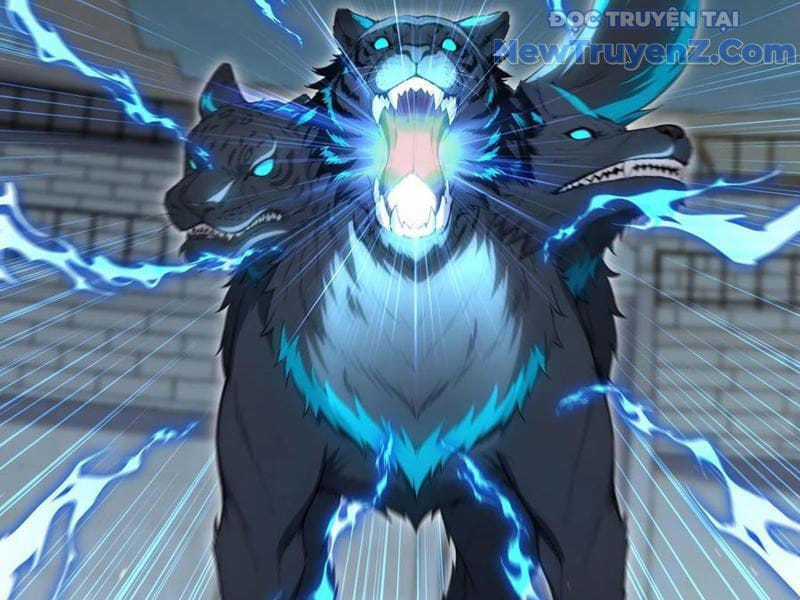 Đệ Nhất Ngự Thú Sư - Chapter 62 - Trang 49