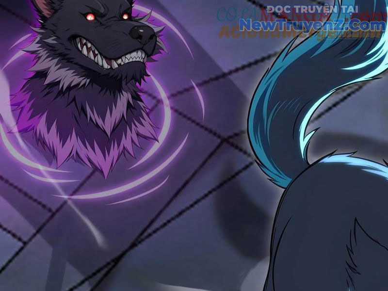 Đệ Nhất Ngự Thú Sư - Chapter 62 - Trang 62