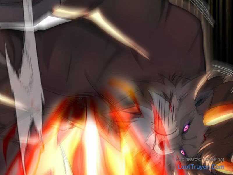 Đệ Nhất Ngự Thú Sư - Chapter 91 - Trang 10