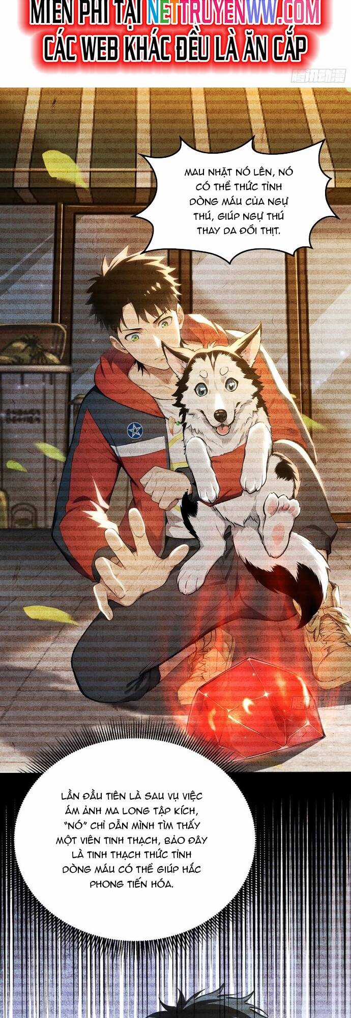 Đệ Nhất Ngự Thú Sư - Chương 17 - Trang 29