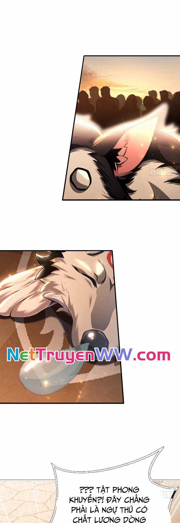 Đệ Nhất Ngự Thú Sư - Chương 3 - Trang 4