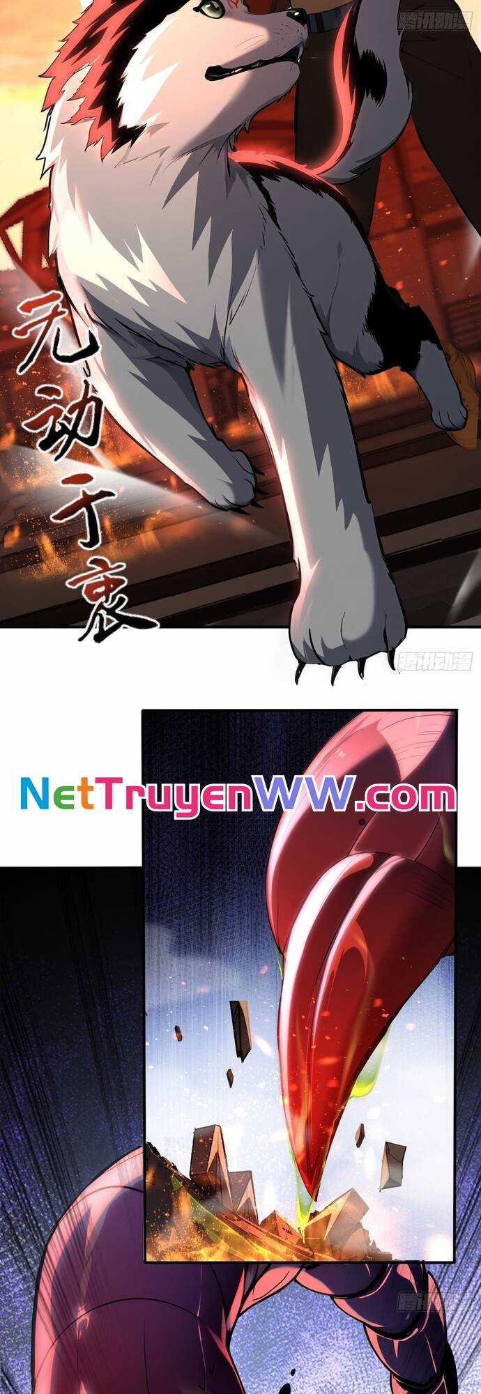 Đệ Nhất Ngự Thú Sư - Chương 4 - Trang 8