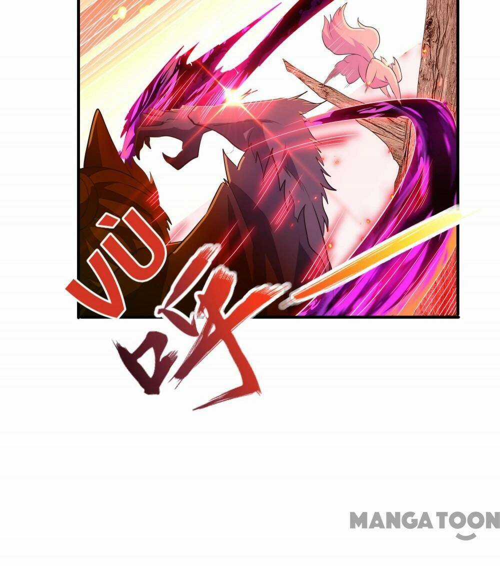 Đệ Nhất Người Ở Rể - Chapter 251 - Trang 11