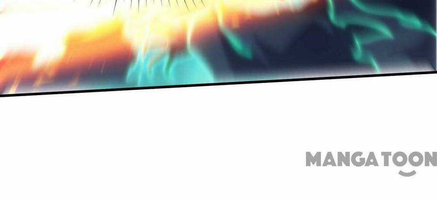 Đệ Nhất Ở Rể - Chapter 248 - Trang 12