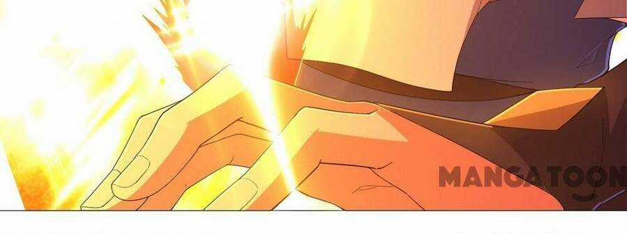 Đệ Nhất Ở Rể - Chapter 257 - Trang 13