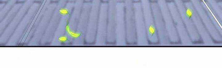 Đệ Nhất Ở Rể - Chapter 260 - Trang 2