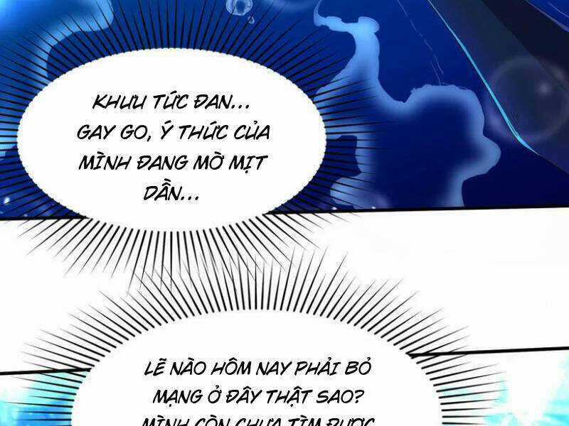 Đệ Nhất Ở Rể - Chapter 264 - Trang 13