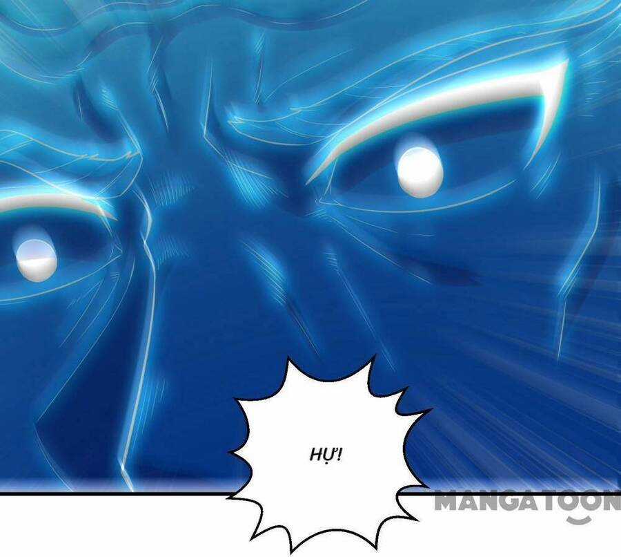 Đệ Nhất Ở Rể - Chapter 265 - Trang 34