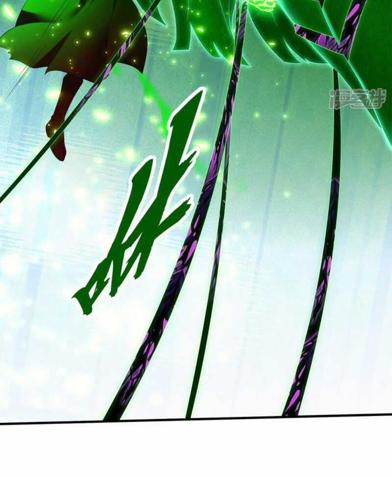 Đệ Nhất Ở Rể - Chapter 313 - Trang 33