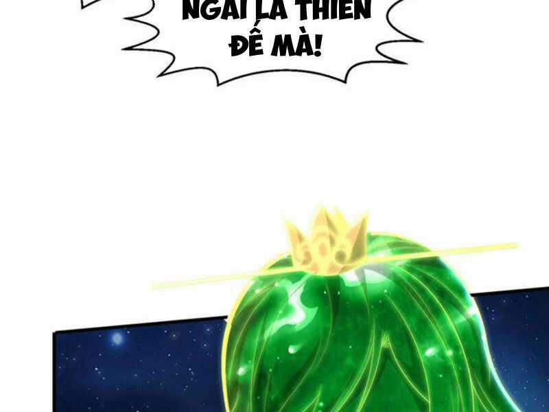 Đệ Nhất Ở Rể - Chapter 314 - Trang 10