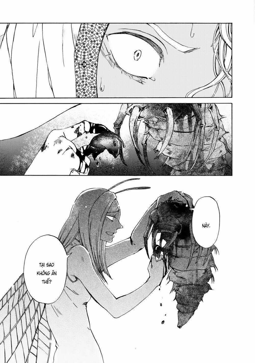 Đế Quốc Kiến - Chapter 13 - Trang 6