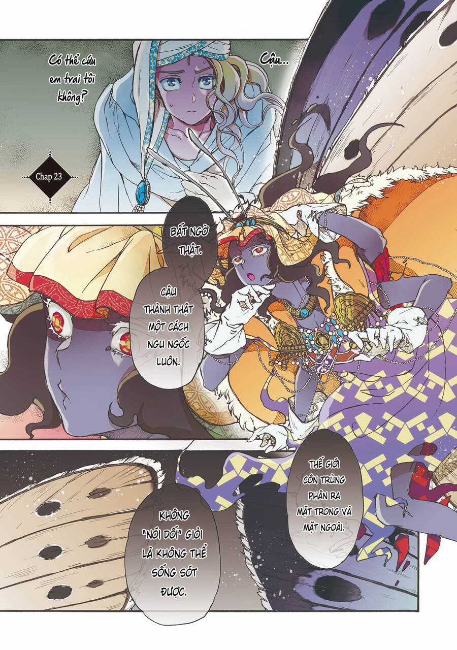 Đế Quốc Kiến - Chapter 23 - Trang 5