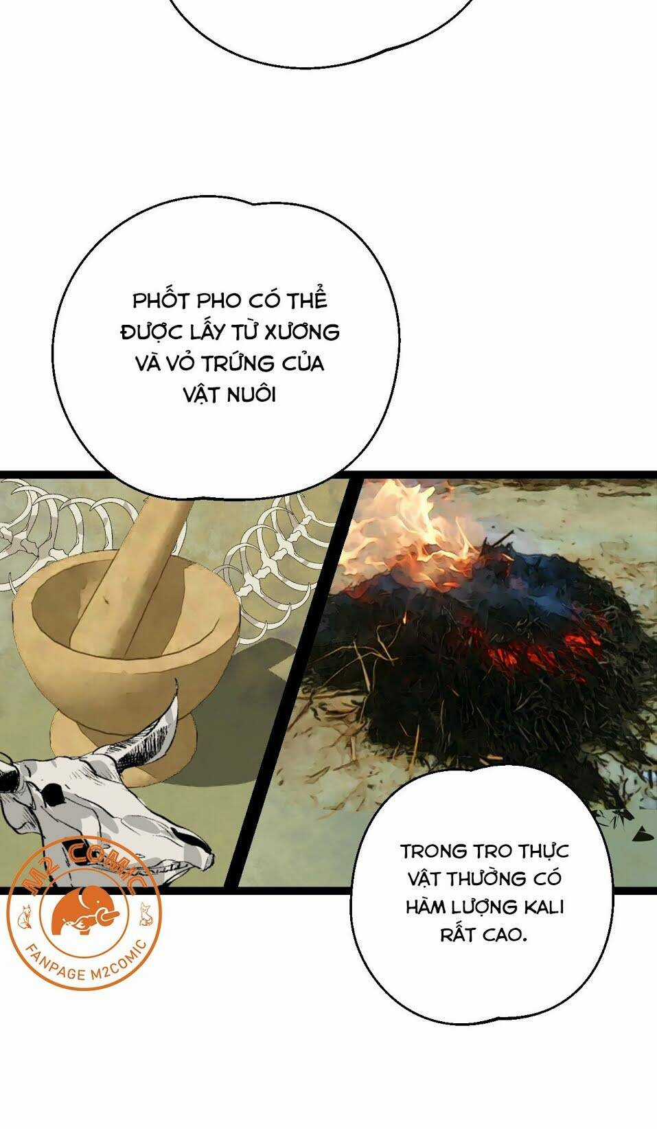 Đế Quốc Lê Man - Chapter 25 - Trang 10