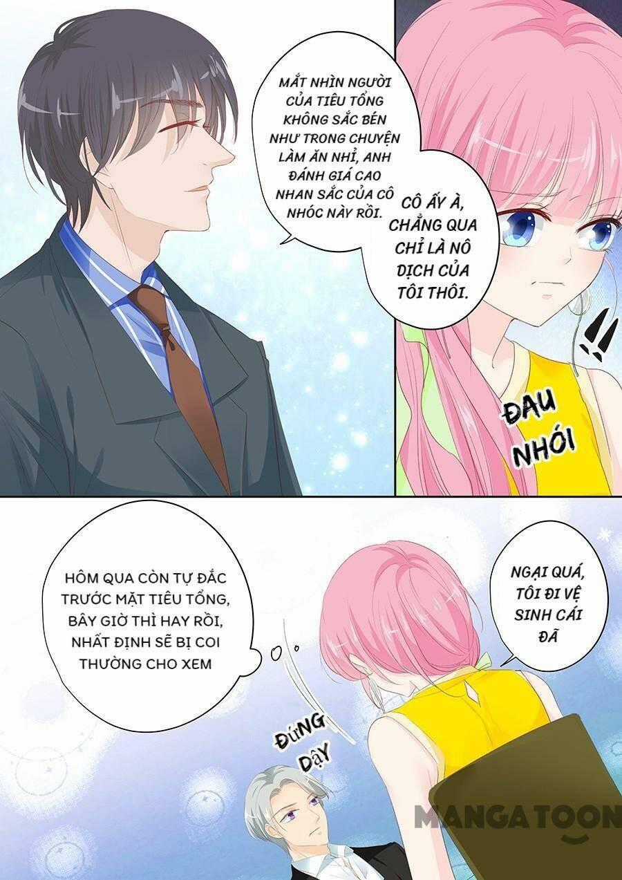Đế Thiếu Đừng Mạnh Quá - Chapter 147 - Trang 7