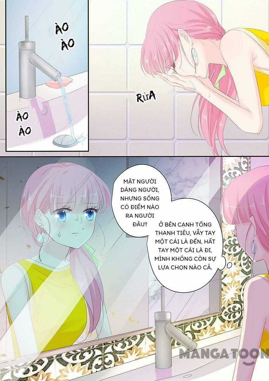 Đế Thiếu Đừng Mạnh Quá - Chapter 147 - Trang 8