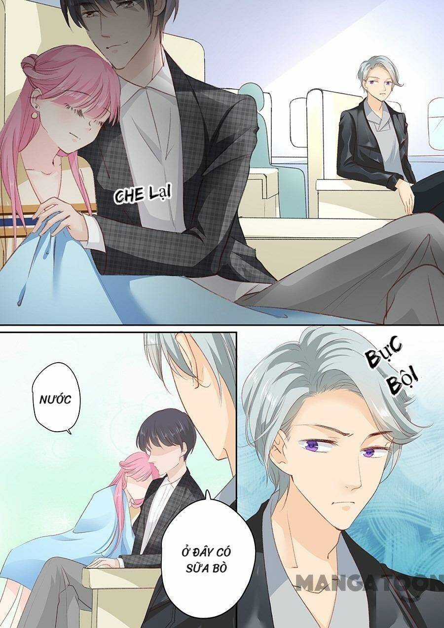 Đế Thiếu Đừng Mạnh Quá - Chapter 155 - Trang 6