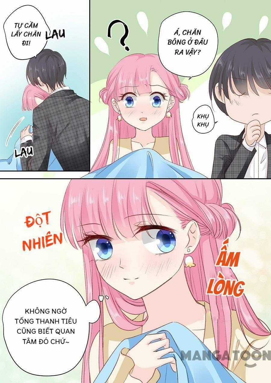 Đế Thiếu Đừng Mạnh Quá - Chapter 156 - Trang 1