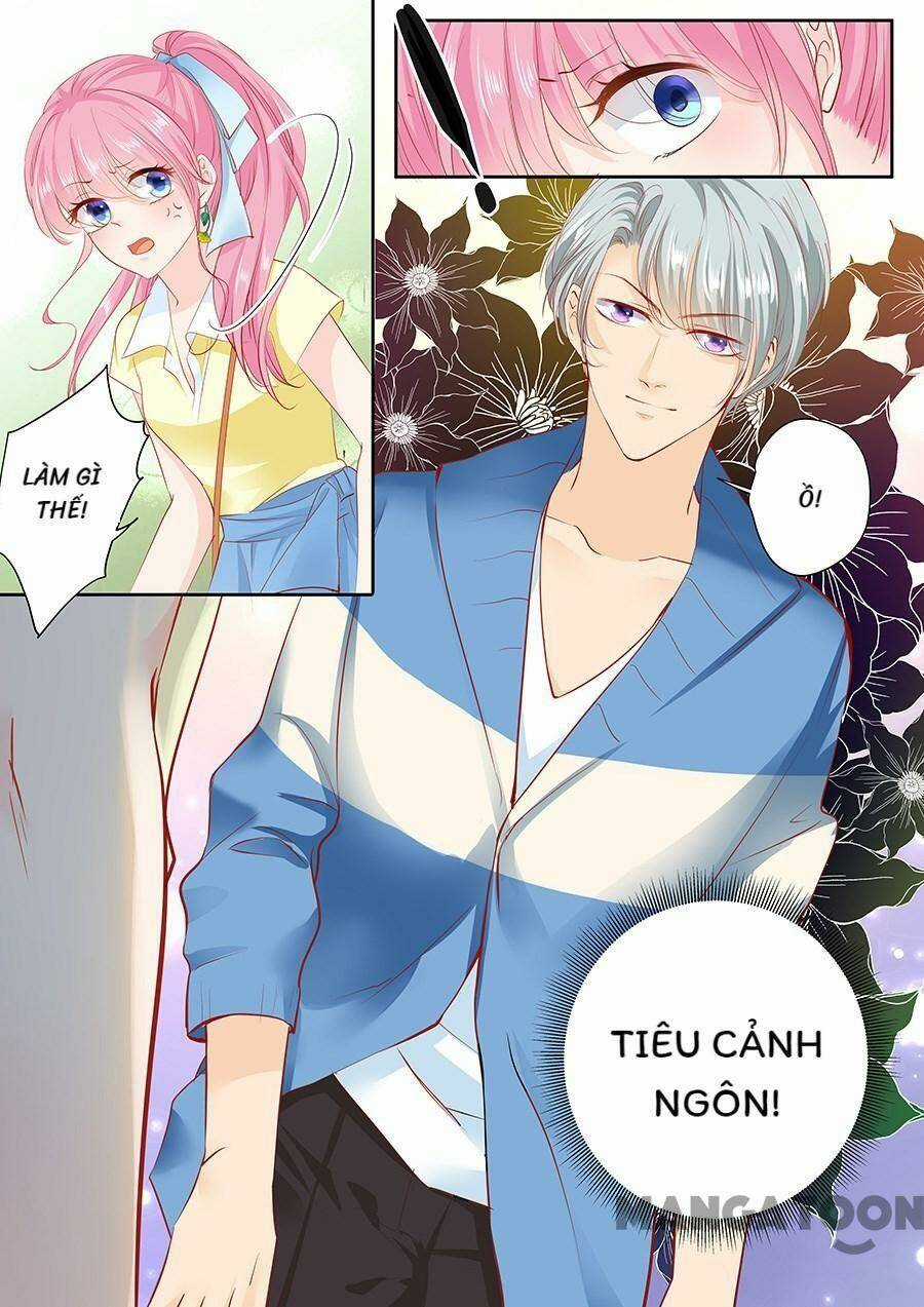 Đế Thiếu Đừng Mạnh Quá - Chapter 162 - Trang 6