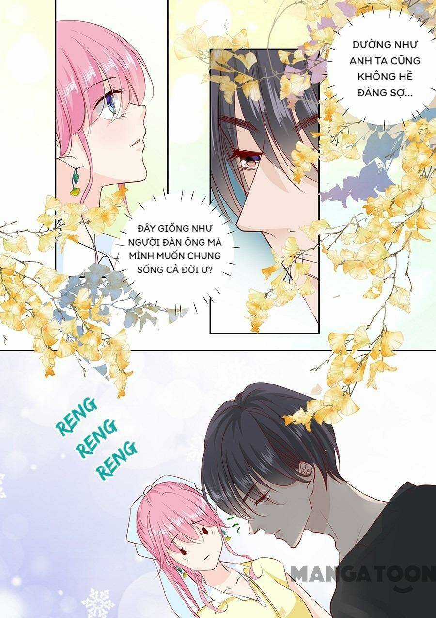 Đế Thiếu Đừng Mạnh Quá - Chapter 165 - Trang 6