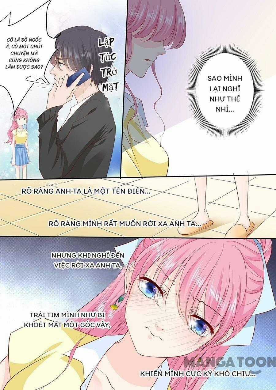 Đế Thiếu Đừng Mạnh Quá - Chapter 165 - Trang 7