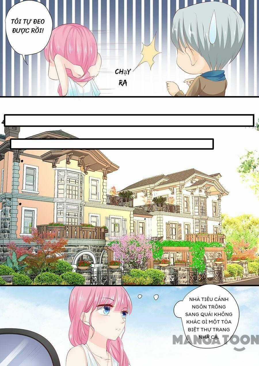 Đế Thiếu Đừng Mạnh Quá - Chapter 212 - Trang 8