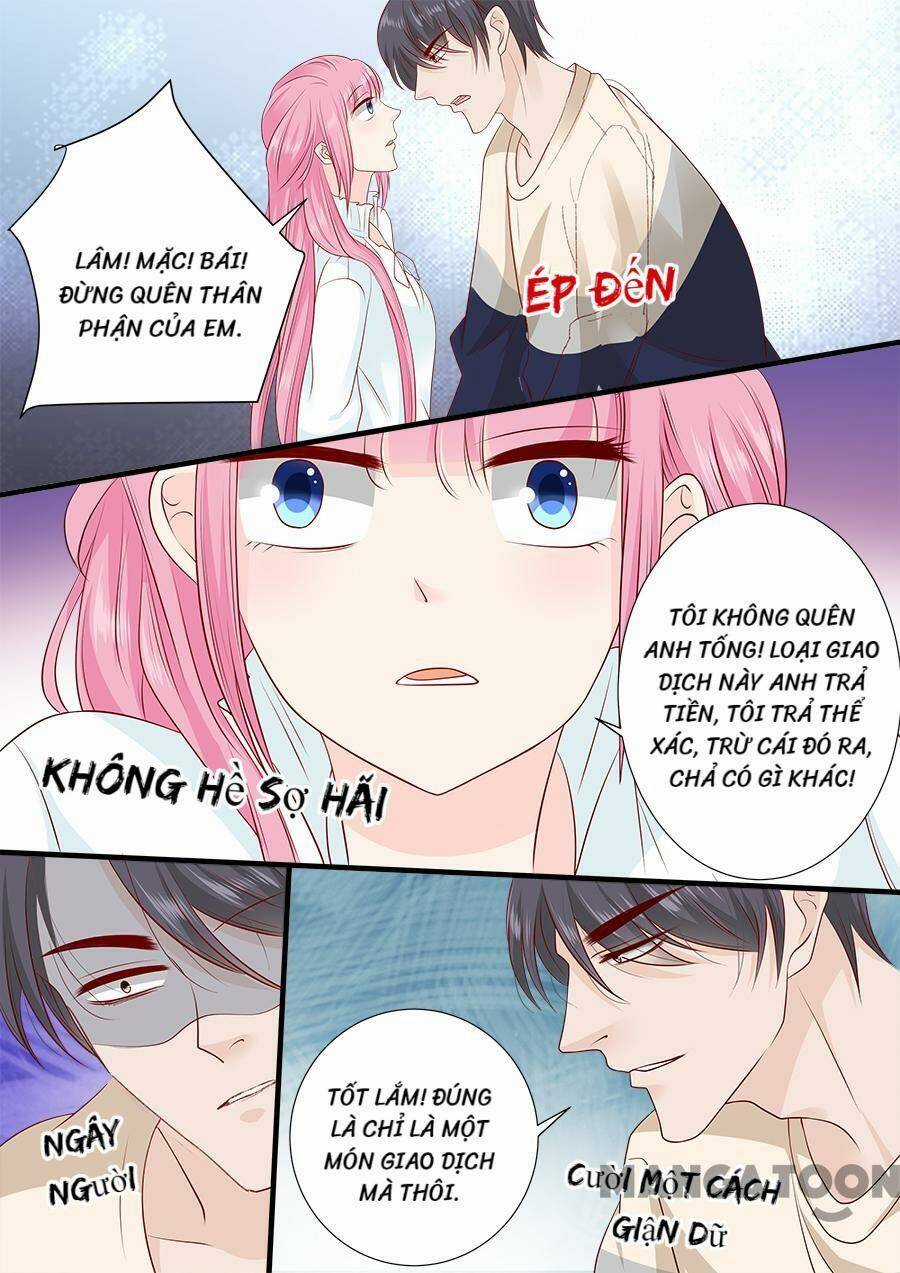 Đế Thiếu Đừng Mạnh Quá - Chapter 246 - Trang 4