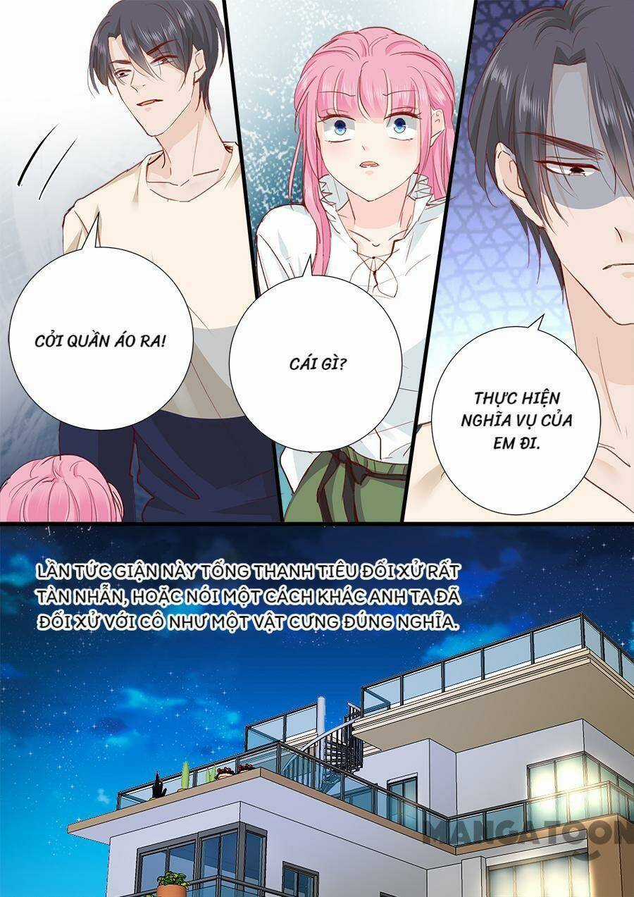 Đế Thiếu Đừng Mạnh Quá - Chapter 246 - Trang 5