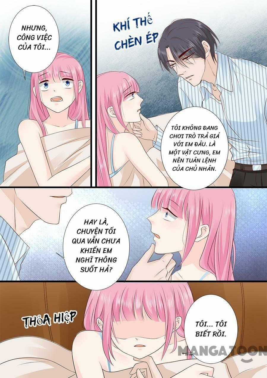 Đế Thiếu Đừng Mạnh Quá - Chapter 246 - Trang 8