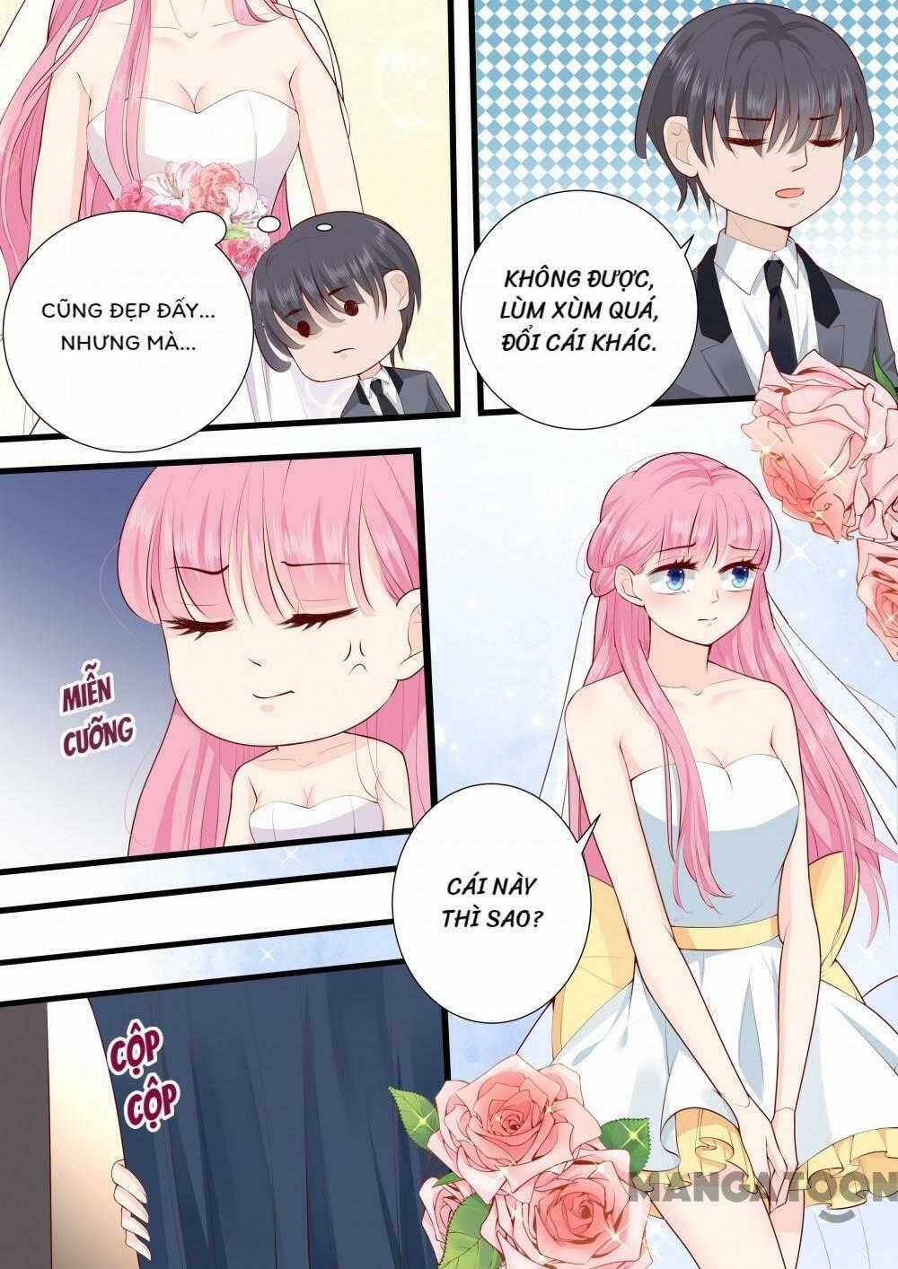 Đế Thiếu Đừng Mạnh Quá - Chapter 270 - Trang 8