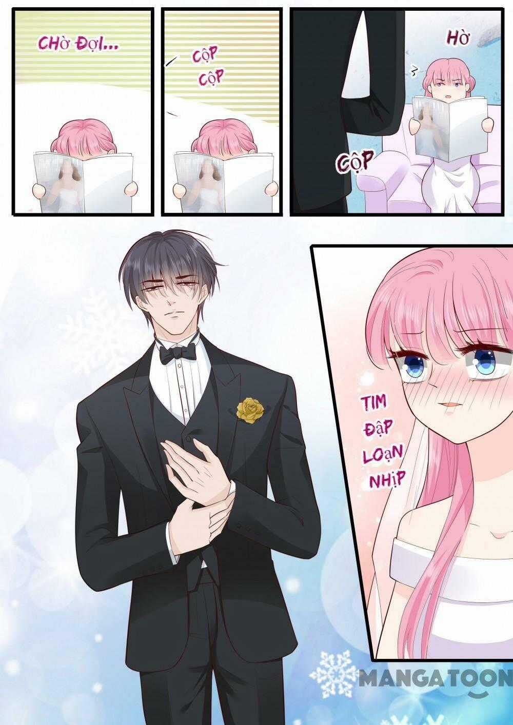 Đế Thiếu Đừng Mạnh Quá - Chapter 271 - Trang 7