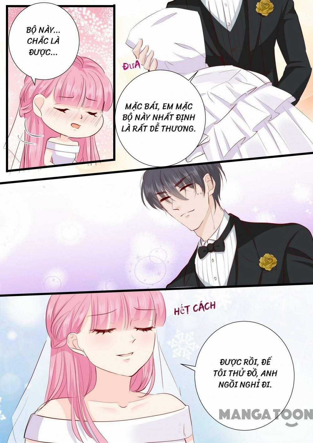 Đế Thiếu Đừng Mạnh Quá - Chapter 271 - Trang 8