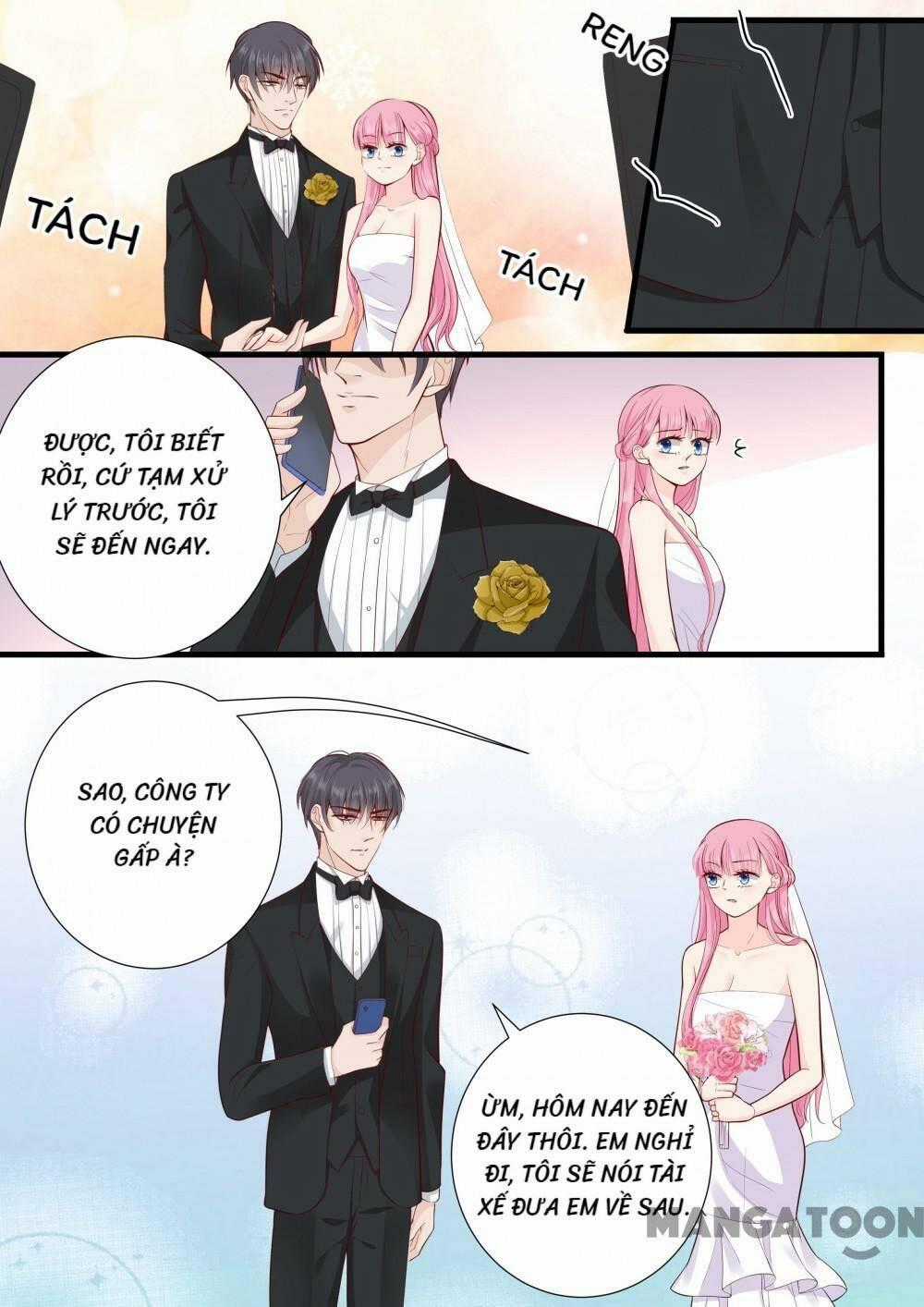 Đế Thiếu Đừng Mạnh Quá - Chapter 272 - Trang 2